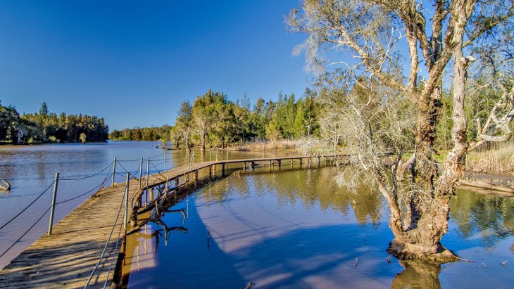 Longneck Lagoon Walking Track Scheyville National Park