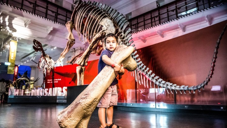Australian Museum