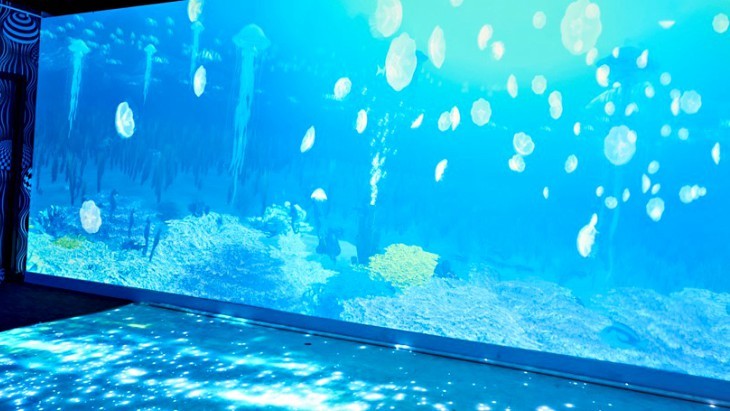 Ocean Invaders At SEA LIFE Melbourne Aquarium