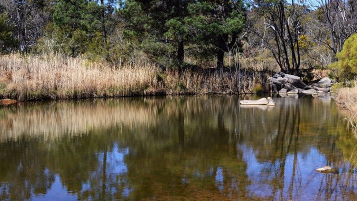 Rocky River Fossicking Area Camping