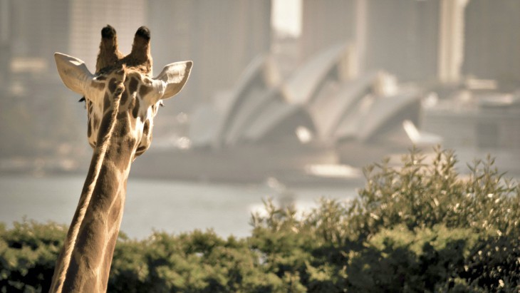 Taronga Zoo