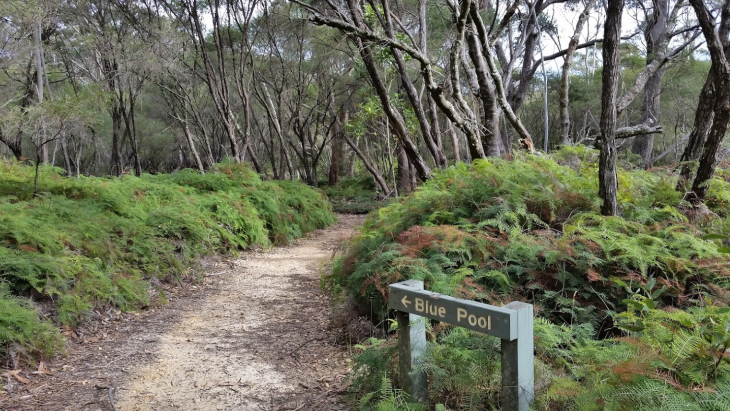 Blue Pool Budderoo National Park