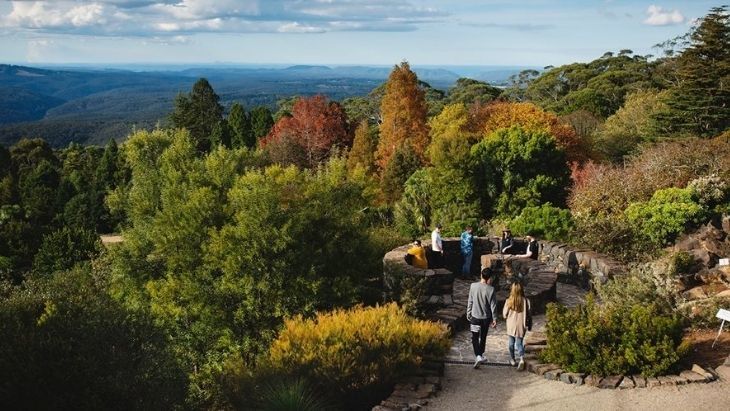 Blue Mountains Mt Tomah