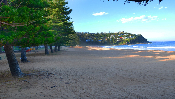 Whale Beach