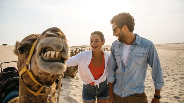 Camel Rides Birubi Beach