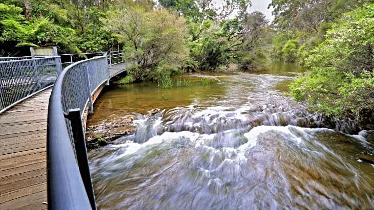 Fitzroy Falls Boardwalk