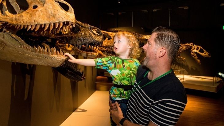 Nights at the Australian Museum Tyrannosaurs Exhibition