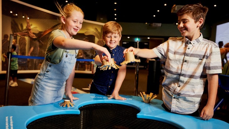 Nights at the Australian Museum Prehistoric Playground