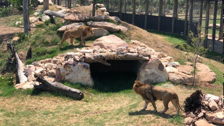 Western Sydney Zoo