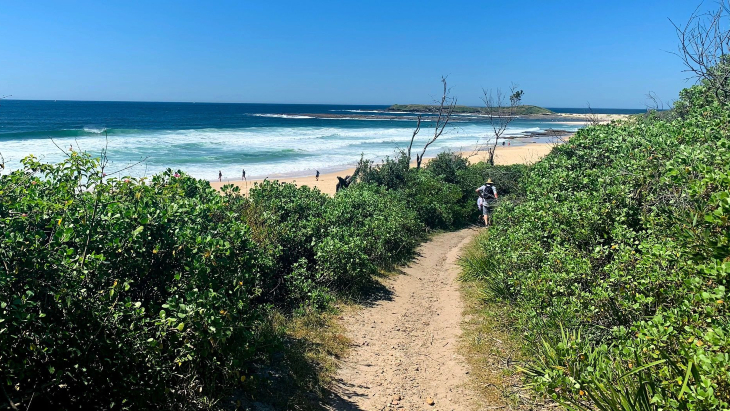 Moonee Beach Trail Central Coast