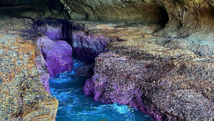 Munmorah Sea Caves