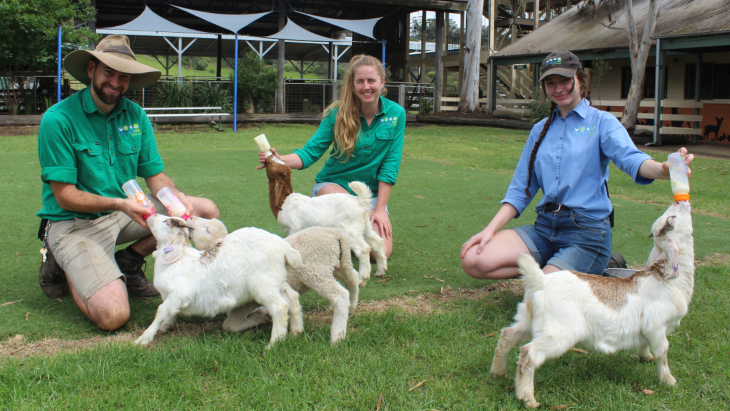Calmsley Hill City Farm