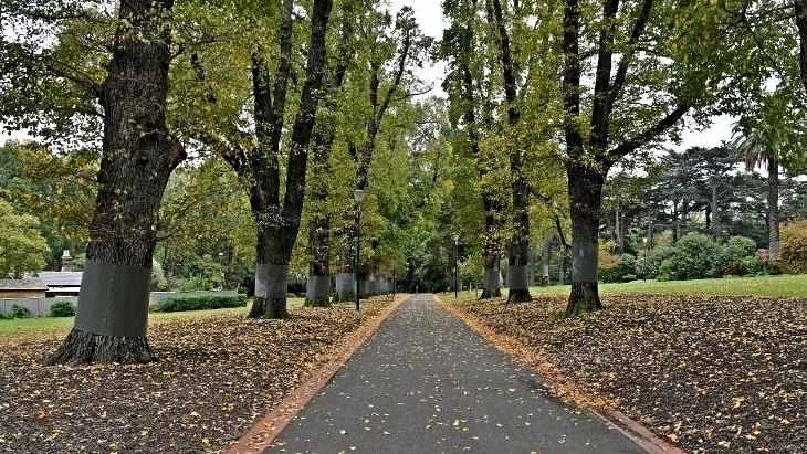 Fitzroy Gardens Melbourne