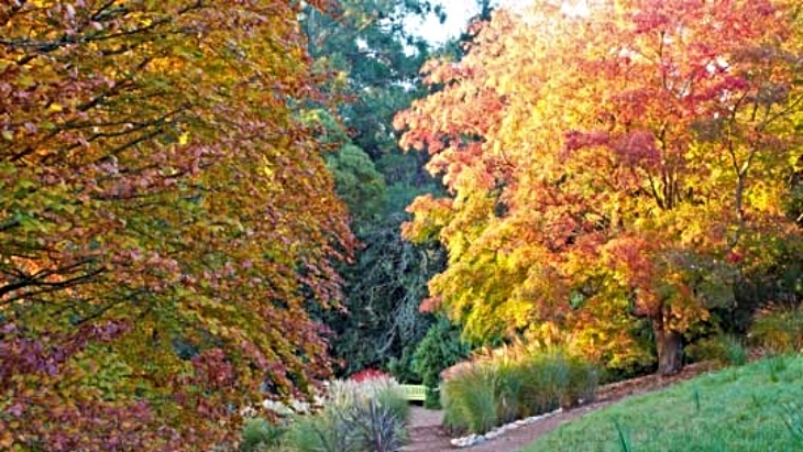 Cloudehill Nursery and Garden