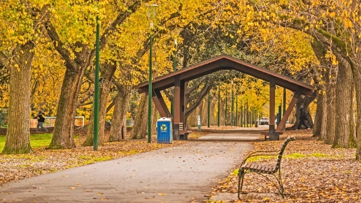 Autumn colours in Melbourne