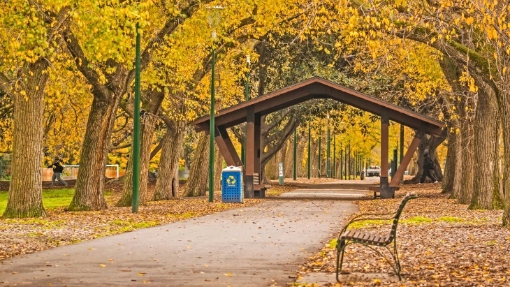 Autumn colours in Melbourne