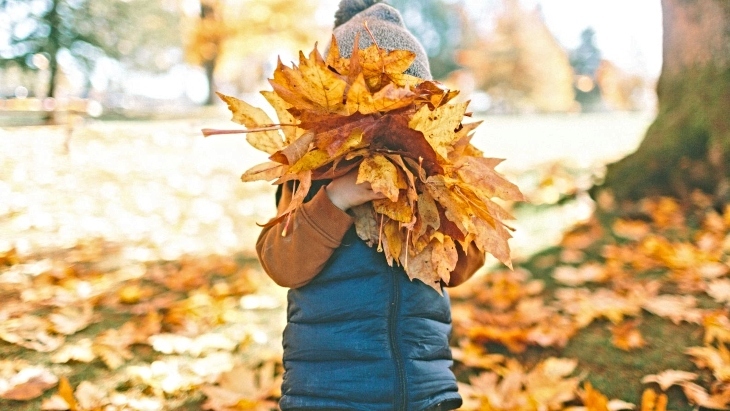 Autumn colours in Melbourne