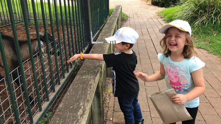 Calmsley Hill City Farm