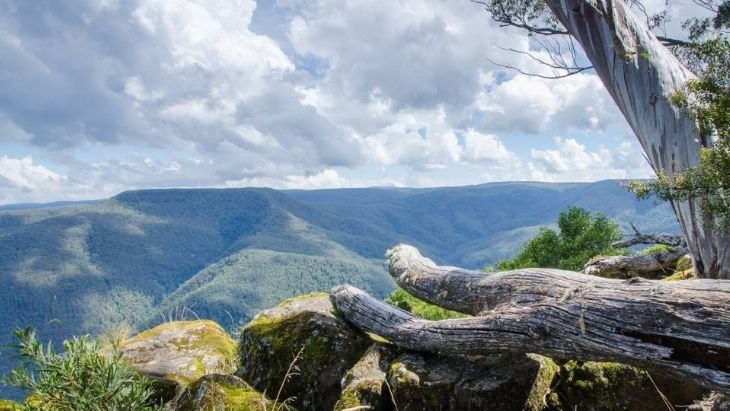 Barrington Tops Family School Holidays