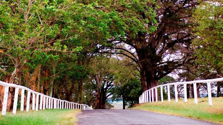 Mowbray Park Farmstays