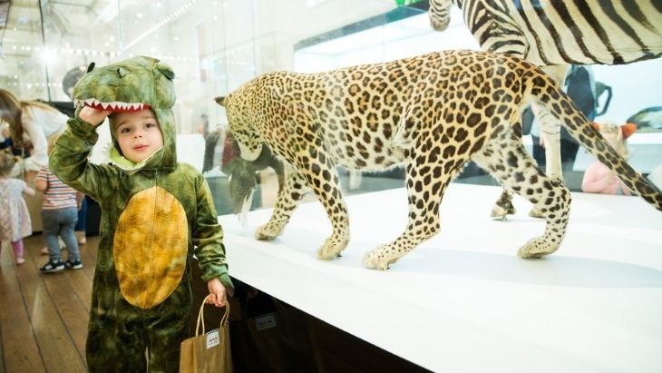 Australian Museum Exhibitions