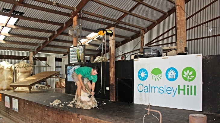 Calmsley Hill City Farm