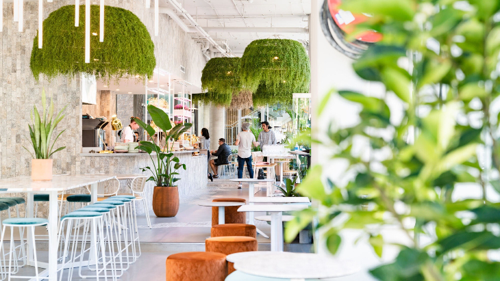 Best cafes in Sydney - Concrete Jungle Chippendale