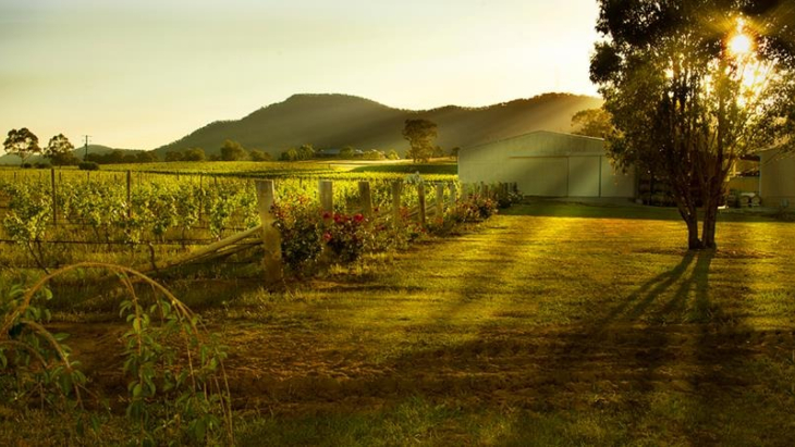 Starline Alpacas Farmstay, Hunter Valley