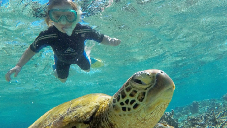 Lady Elliot Island