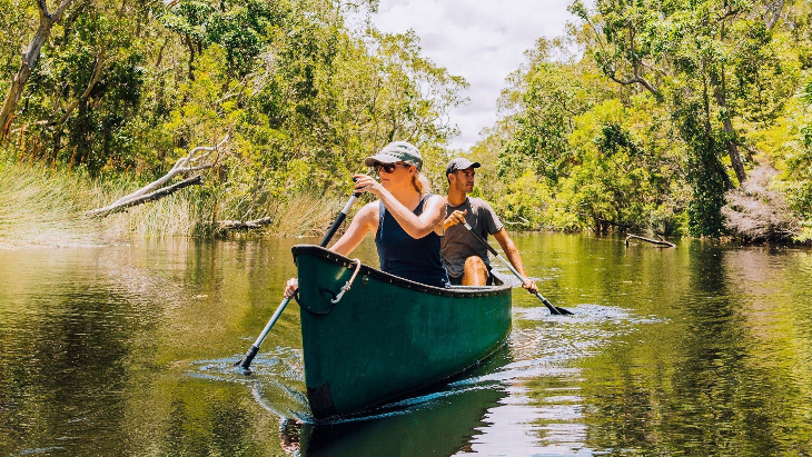 Noosa Everglades Eco Safaris