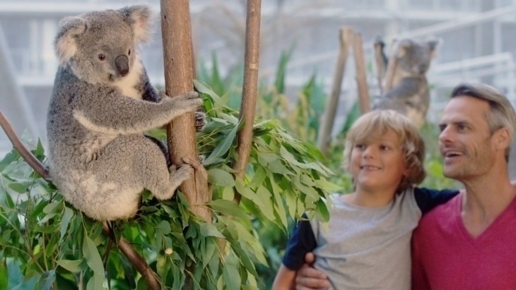 Sydney Zoos & Animal Parks