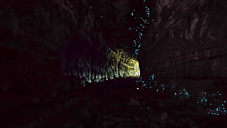 Glow Worm Tunnel in Wollemi National Park is an amazing glow worm cave to visit near Sydney