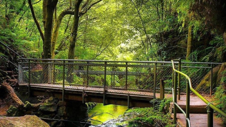 Leura Cascades Blue Mountains