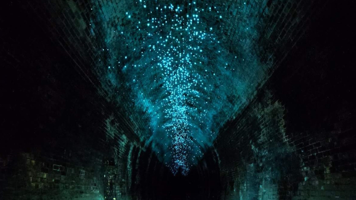 Wollemi Glow Worms Tunnel