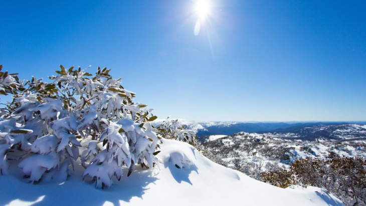 Visiting the Snowy Mountains