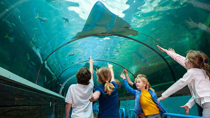 SEA LIFE Sydney Aquarium: Winter Holiday Fun!
