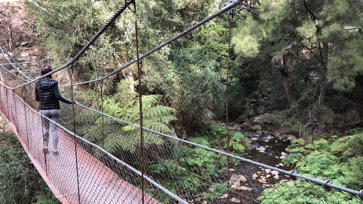 Jenolan River Walking Track