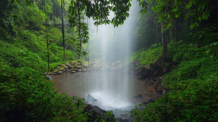 Waterfalls in NSW