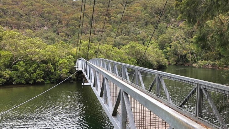 Bobbin Head Mangrove Boardwalk