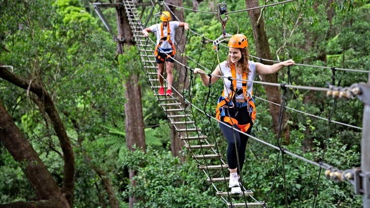 Illawarra Fly Treetops Adventures