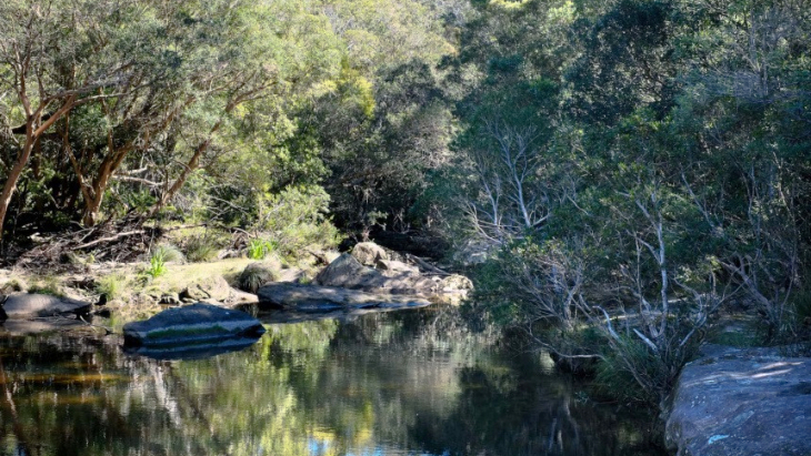 Best Hikes in Sydney - Cascades Trail