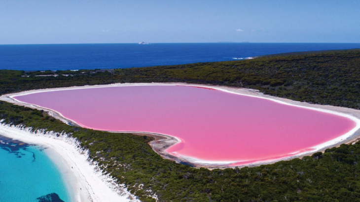 Pink Lake Western Australia