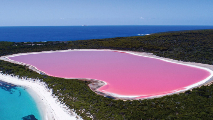 Pink Lake Western Australia 