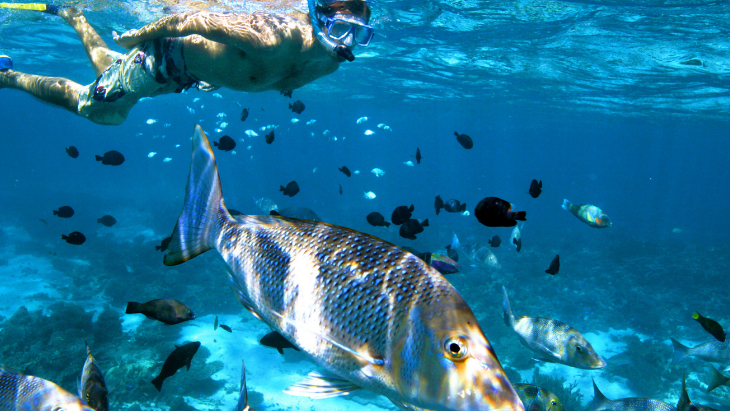 Ningaloo Reef