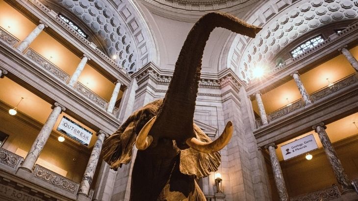 The Smithsonian virtual tours