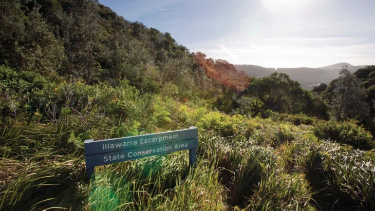 Great Southern Walk 