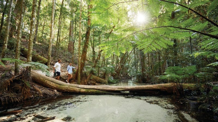 Camping on Fraser Island