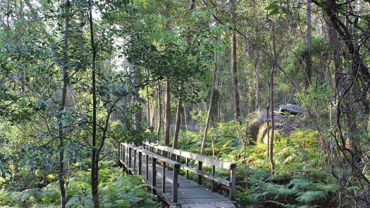 Hiking in Brisbane