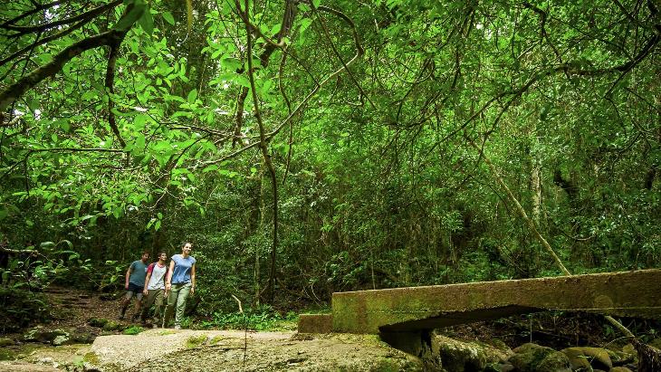 Hikes in Brisbane