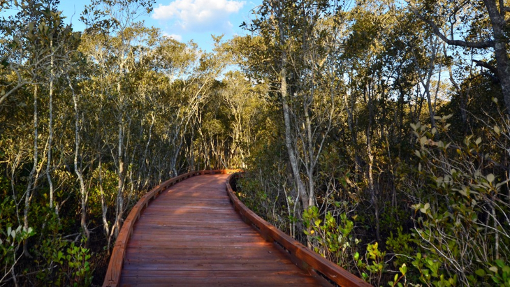 Boondall Wetlands walk